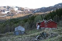 Omtrent mellom fotografen og fjøsruinen sto oksen