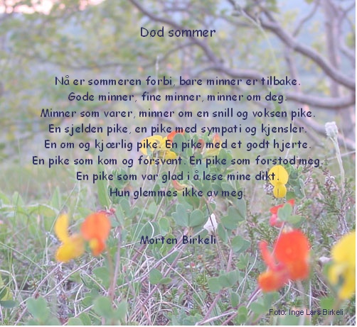 Død sommer