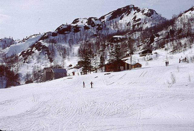 Skiløpere i Sørvika