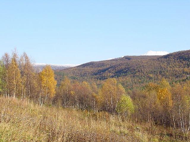 Utsikt fra Birkeli mot Steinkjerringa