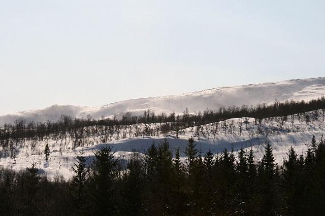 Snøfokk over Trappbergskogen