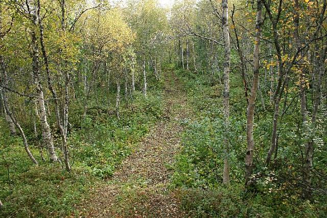 Første 50m etter brua