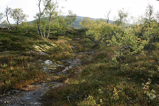 Siste kneik mot Varden