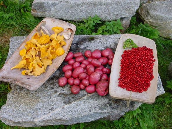 MarkensGroede_DSC03006_red.jpg