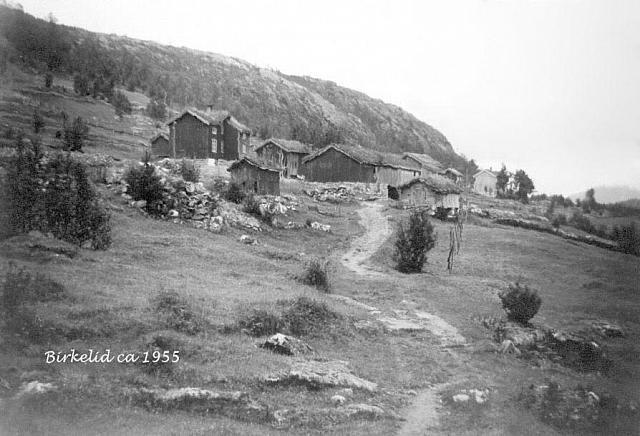 Birkeli anno 1955