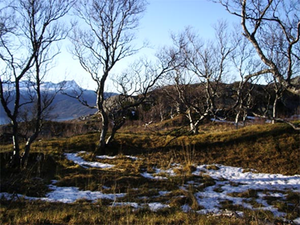 Vakkerdalen