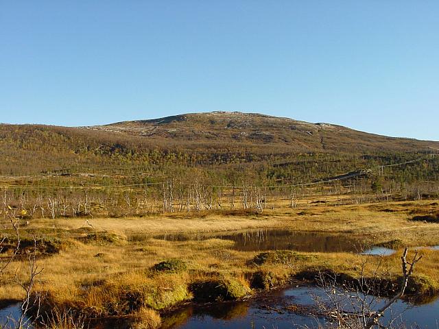 Myran og Gjetarfjellet