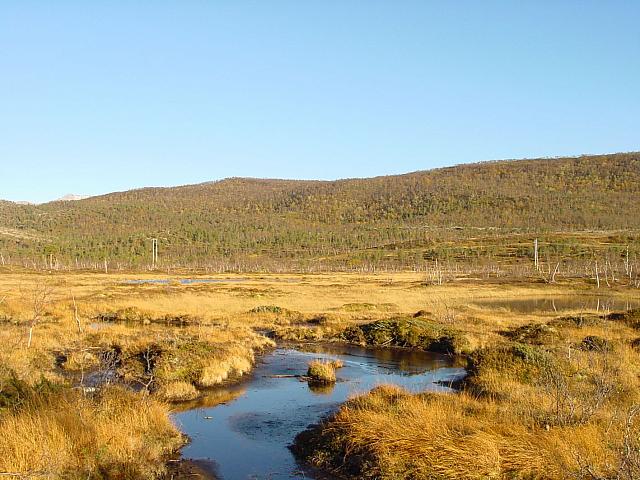 Almenningen fra Myran