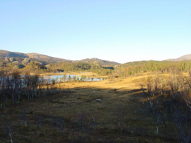 Sørtjønnan fra Olasjyttmyra