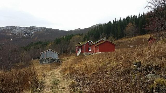 Takk for i år Birkeli