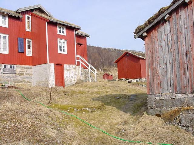 SnoefrittBirkelitun_DSC03809_25cm.jpg